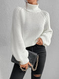 Ashlee - Chunky Knit Turtleneck Sweater
